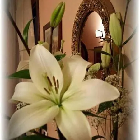 Hotel La Selce