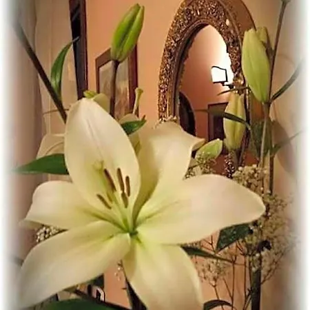 Otel La Selce Monselice