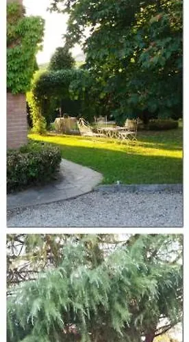 赛尔切酒店 酒店